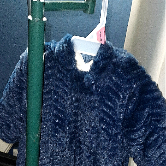 Blue Snow Suit